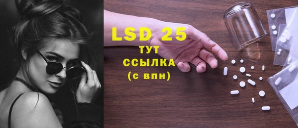 PSILOCYBIN Магас