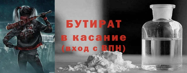 сатива Аша