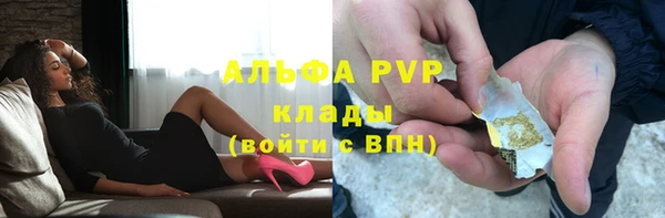 сатива Аша