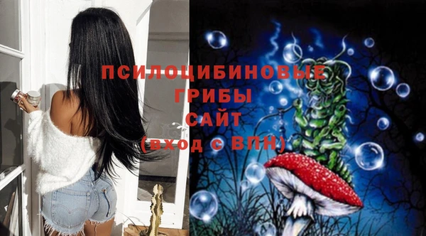 МДПВ Апатиты