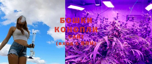PSILOCYBIN Магас