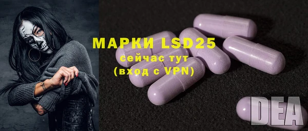 PSILOCYBIN Магас