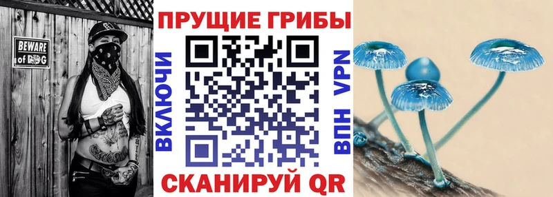 blacksprut ТОР Ачхой-Мартан Псилоцибиновые грибы MAGIC MUSHROOMS